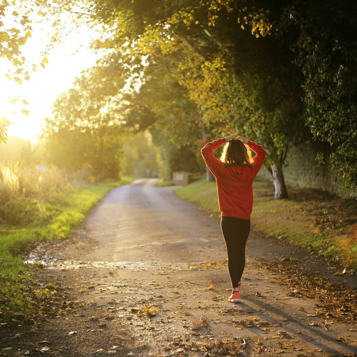 Understanding Stress, and What We Can Do About It