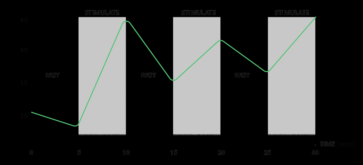 Graphique montrant l’alternance des phases de stimulation et de repos, ainsi que l’évolution des données au fil du temps.