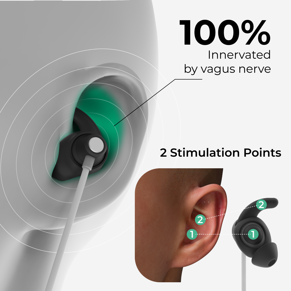ZenoWELL VITA – The Way to Calm