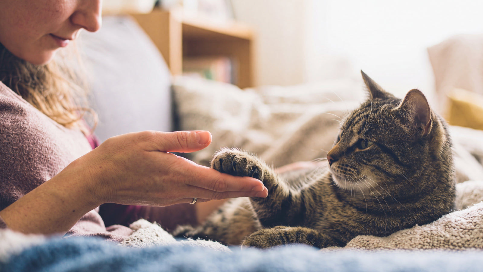 A new adopter relaxing at home with a rescued pet